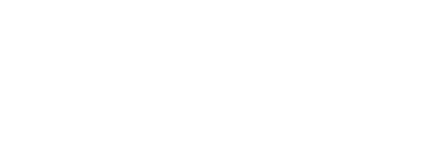 Solutions Segurança e Tecnologia